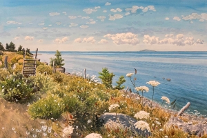 Brevkort - Utsikt mot Blå Jungfrun Öland